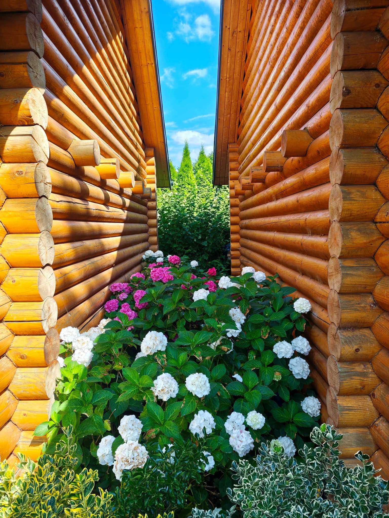 Blumen im Garten bei den Ferienhäusern