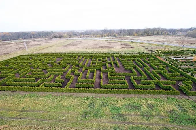Thujenhecken-Labyrinth in Kamień Pomorski aus der Vogelperspektive